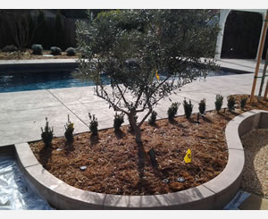 Sacramento Decorative Concrete 71